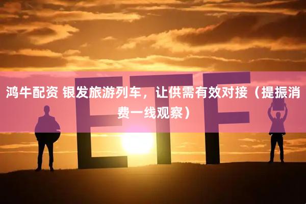 鸿牛配资 银发旅游列车，让供需有效对接（提振消费一线观察）