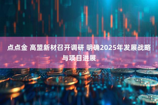 点点金 高盟新材召开调研 明确2025年发展战略与项目进展