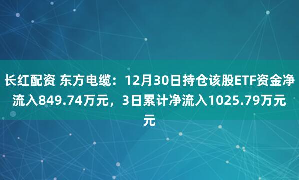 长红配资 东方电缆：12月30日持仓该股ETF资金净流入849.74万元，3日累计净流入1025.79万元