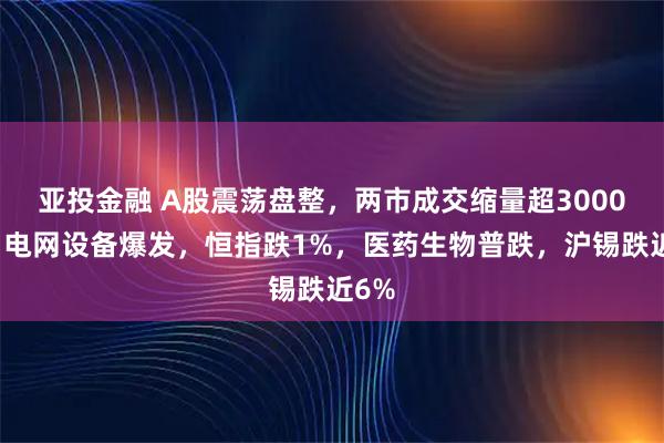 亚投金融 A股震荡盘整，两市成交缩量超3000亿，电网设备爆发，恒指跌1%，医药生物普跌，沪锡跌近6%